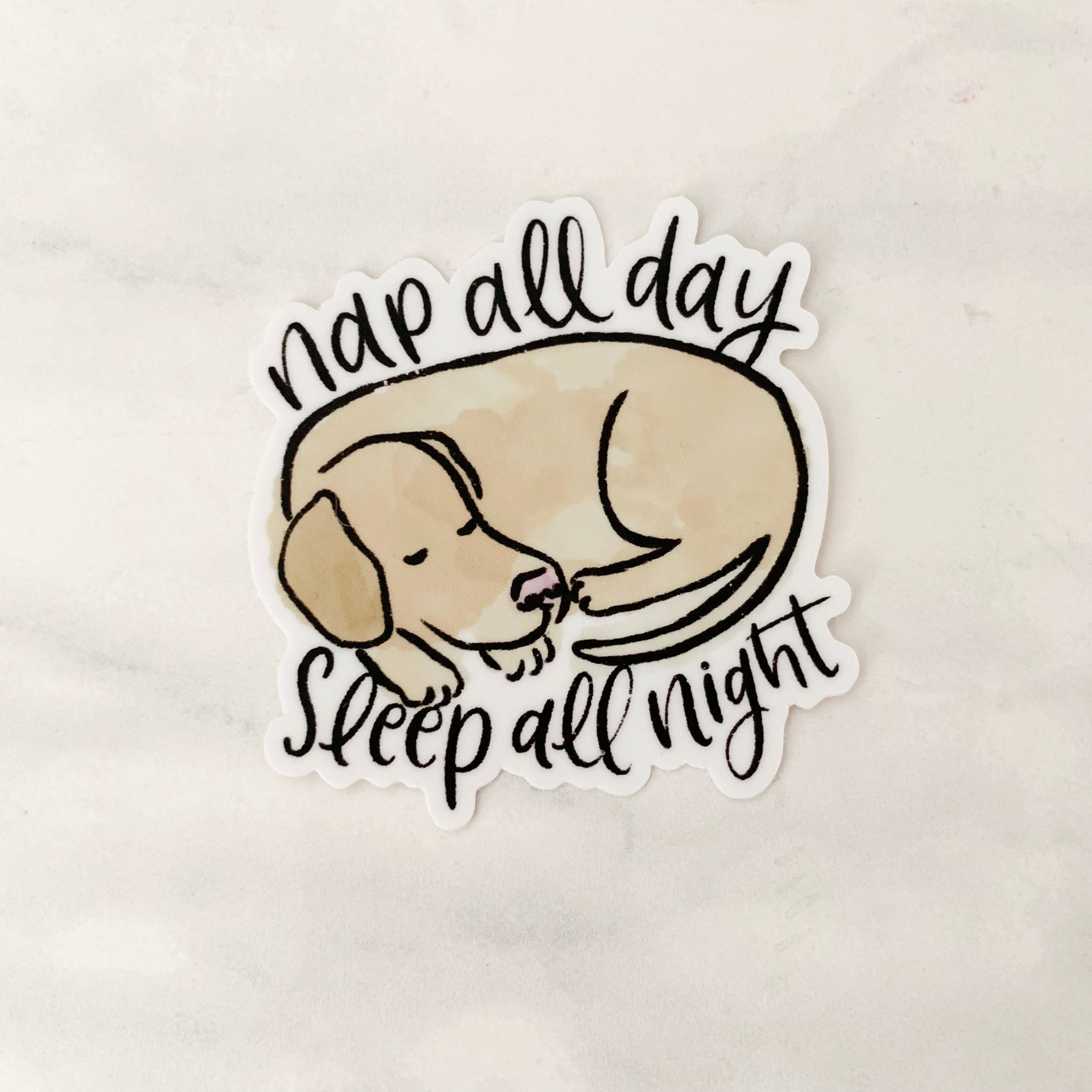 Nap All Day Sticker