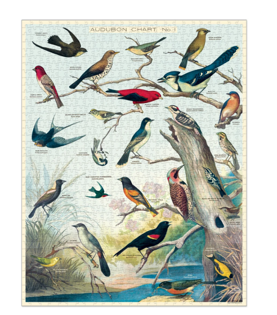 Cavallini Vintage Audubon 1000 Piece Puzzle
