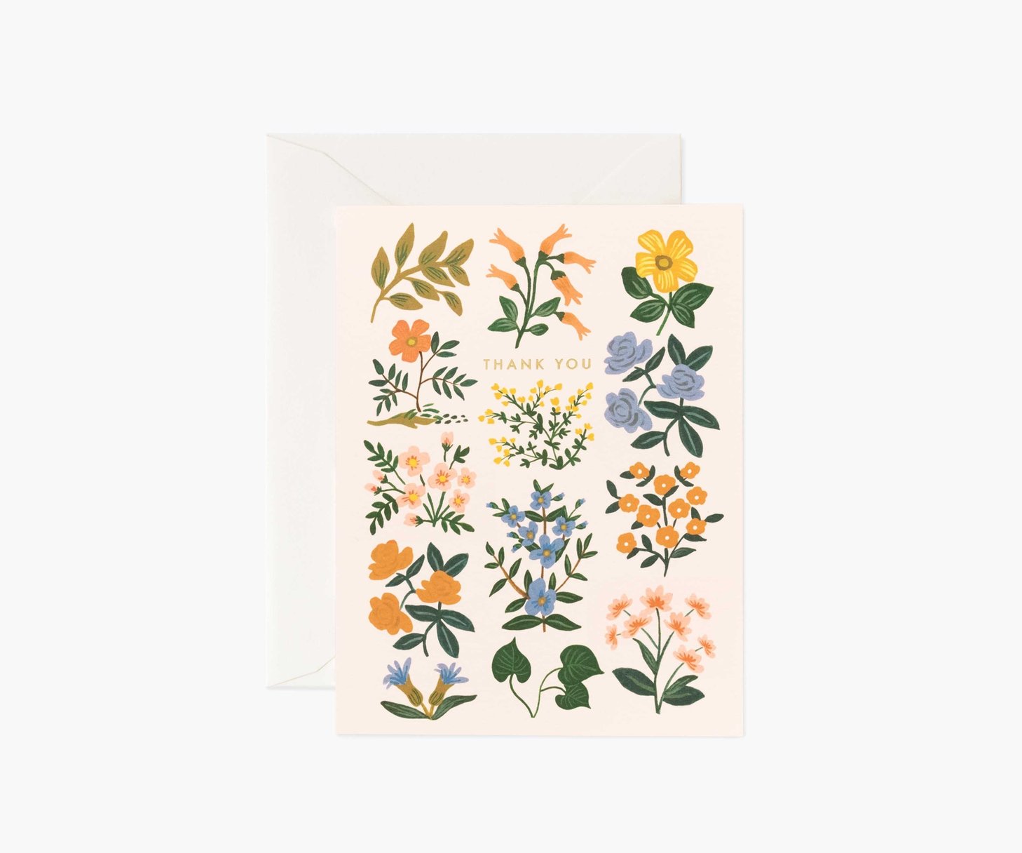 Rifle Paper Wildwood Boxed Notecards Set of 8